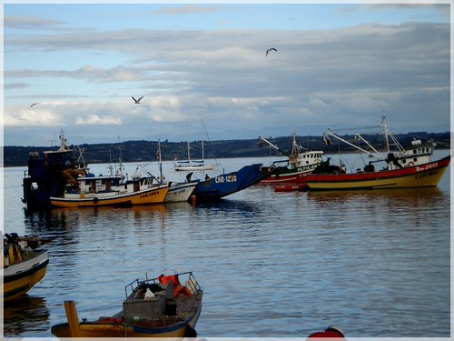 Pesca en primera milla: Corte Suprema acoge casación de Sernapesca y reafirma el valor probatorio del monitoreo satelital